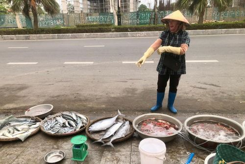 Nhiều loại hải sản tươi ngon như cá thu, ghẹ, mực... bày bán ngay trên vỉa hè.