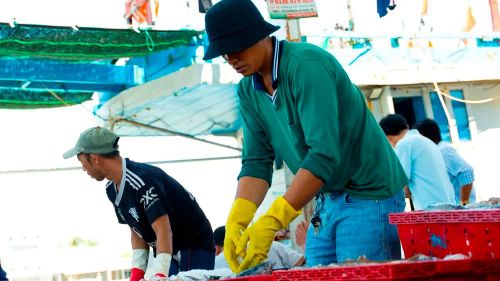 Hải sản được đông lạnh bằng nước đá xay nhuyễn để giữ độ tươi. Ảnh: Trí Trần
