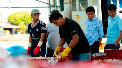 Khu chợ trung chuyển lúc nào cũng tấp nập người mua, người bán. Ảnh: Bùi Nguyên