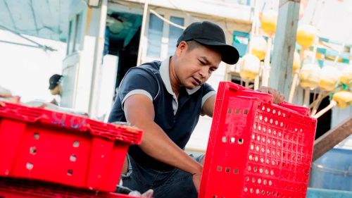Niềm vui lan tỏa nơi cảng cá Đại An. Ảnh: Trí Trần
