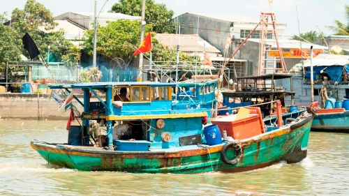 Sau nhiều ngày đánh bắt xa bờ, những chuyến tàu chở đầy cá tươi bắt đầu cập bến. Ảnh: Trí Trần