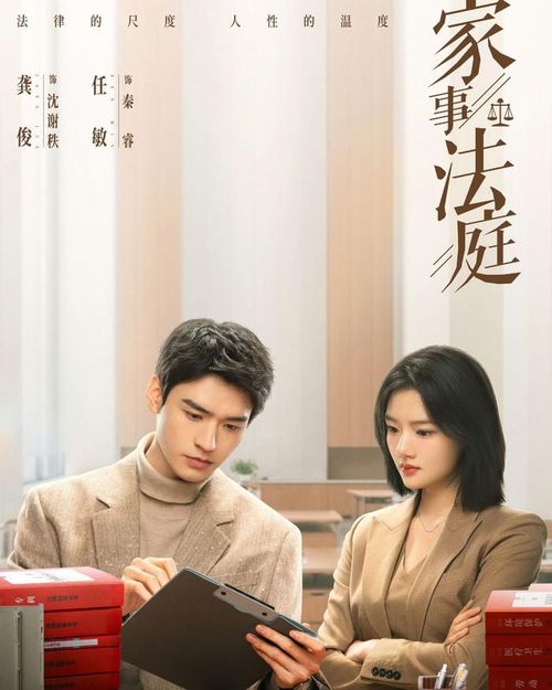 Bộ phim chính kịch lấy bối cảnh một tòa án nhỏ, nơi xử lý các vụ án dân sự đời thường. Qua từng câu chuyện, phim phản ánh những mâu thuẫn gia đình và các vấn đề xã hội gần gũi với đời sống.
