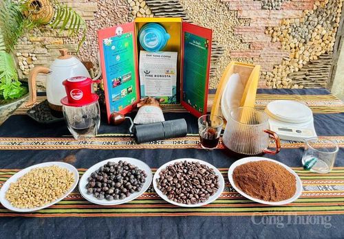 Dòng cà phê đặc sản của Gia Lai. Ảnh: Hiền Mai