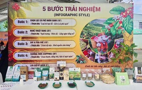 5 bước trải nghiệm cà phê đặc sản. Ảnh: Hiền Mai