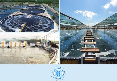 Vậy, ông cho biết đâu là giải pháp khoa học và công nghệ trọng tâm để phát triển bền vững ngành thủy sản?