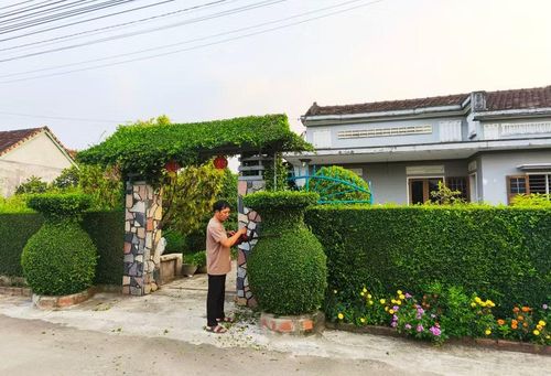 Hàng rào xanh được cắt tỉa, chăm chút cẩn thận của gia đình anh Đào Thanh Thung.