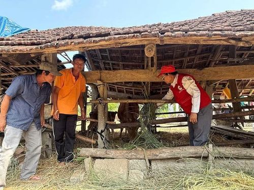  Tháng Nhân đạo 2026 sẽ diễn ra các hoạt động hỗ trợ thiết thực người dân có hoàn cảnh khó khăn. Ảnh: Quỳnh Ngân 