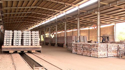 Nhà máy gạch Yên Bình phấn đấu sản xuất 40 triệu viên gạch trong năm nay.