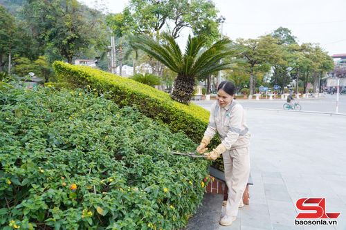Cắt tỉa cây xanh tại Vườn hoa cầu Trắng, phường Tô Hiệu.