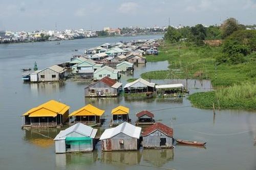 Làng bè Châu Đốc (tỉnh An Giang) - điểm đến du lịch lý tưởng