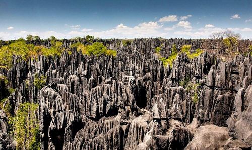 Tsingy de Bemaraha ở Madagascar lại khiến người ta choáng ngợp bởi sự kỳ dị của rừng đá, nơi không thể đi bộ bằng chân trần