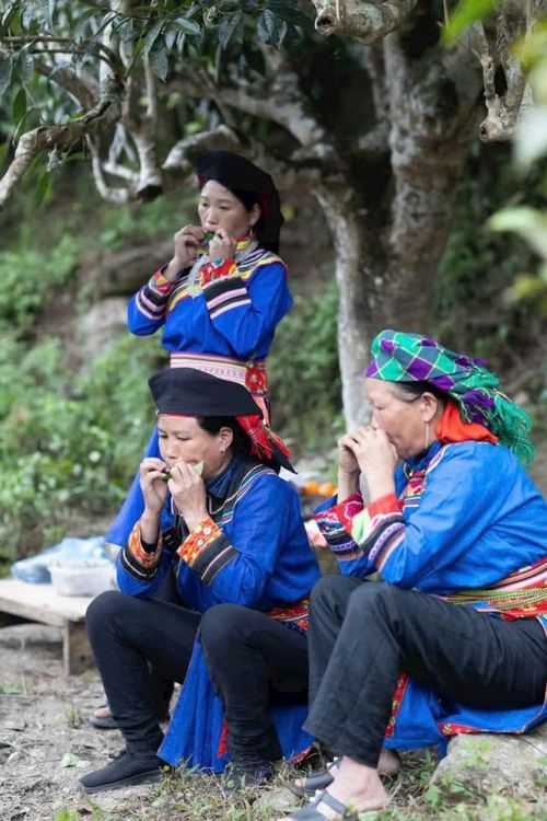 Những người Cơ Lao luôn ý thức giữ gìn nét đẹp truyền thống, gần gũi với thiên nhiên của mình.