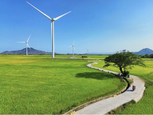 Những cánh đồng điện gió, điện mặt trời – nguồn năng lượng sạch đang chờ được “giải phóng” để giảm áp lực phụ thuộc nhập khẩu