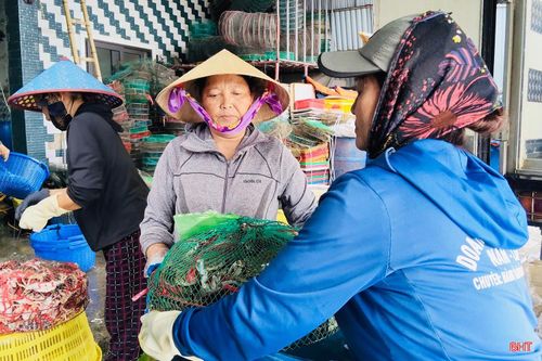 Không khí mua bán hải sản diễn ra nhộn nhịp tại các cơ sở thu mua, tạo nguồn cung dồi dào cho thị trường.