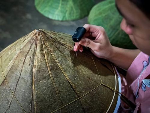 Công đoạn “chằm” (khâu) nón đòi hỏi sự tập trung cao độ. Từng mũi kim xuyên qua lớp lá sen phải thật đều tay để không làm rách lá mà vẫn giữ được độ phẳng phiu. (Ảnh: Vân Chi/TTXVN phát)