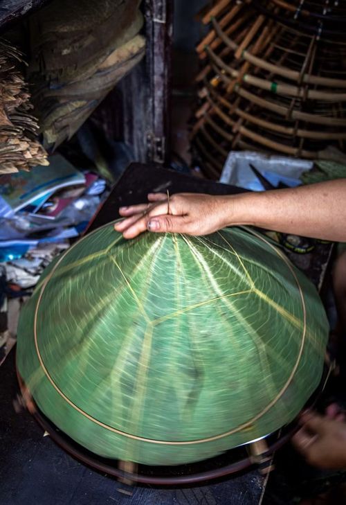 Từng lớp lá sen được người thợ cẩn thận xếp đều lên khung. Hai lớp lá chồng lên nhau, tạo độ dày và bền cho chiếc nón. (Ảnh: Vân Chi/TTXVN phát)