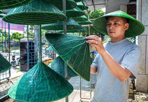 Nghệ nhân Nguyễn Thanh Thảo (sinh năm 1988) là người đã sáng tạo ra nón lá sen Huế từ năm 2017. Với anh, mỗi chiếc nón là sự kết hợp tinh tế giữa kỹ nghệ thủ công truyền thống và sự đổi mới, sáng tạo. (Ảnh: Vân Chi/TTXVN phát)