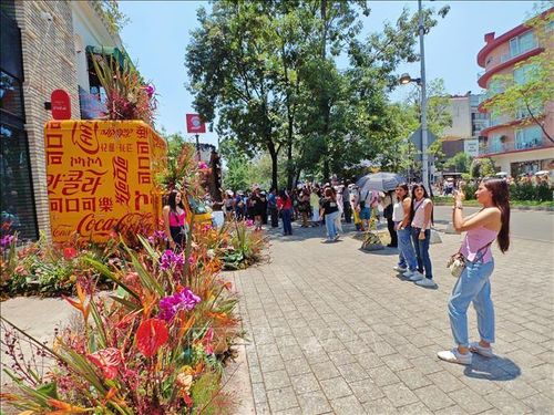 Tuyến phố Presidente Masaryk ở thủ đô Mexico City rực rỡ sắc màu trong những ngày diễn ra Lễ hội Hoa và Vườn FYJA 2026, thu hút đông đảo người dân và du khách tới tham quan.