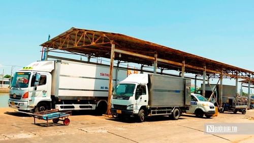 Phía ngoài bến, những chiếc xe tải chờ sẵn, nối thành hàng dài. Hàng vừa xuống là được chuyển lên xe, rời cảng trong thời gian ngắn nhất. Nhịp điệu ấy lặp lại suốt cả ngày, gần như không có khoảng trống. Mỗi chuyến xe đi là thêm một mắt xích được nối vào chuỗi tiêu thụ rộng lớn hơn. (Ảnh: Trí Trần).