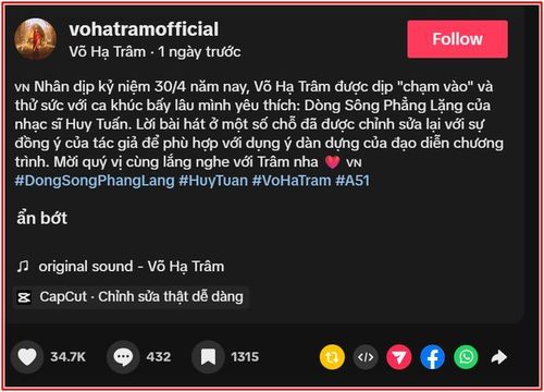 Tiết mục của Võ Hạ Trâm nhận được sự quan tâm đặc biệt trên các nền tảng mạng xã hội.