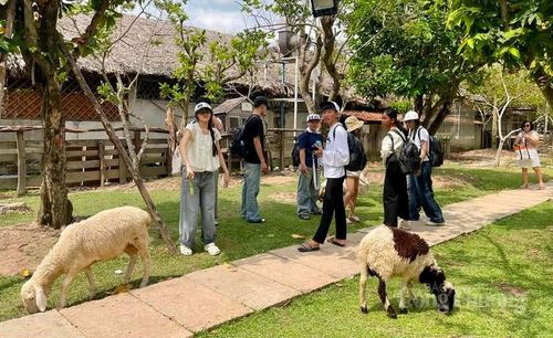 Du lịch tại TP. Cần Thơ tiếp tục ghi nhận những tín hiệu khởi sắc.