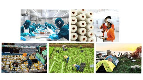 Lâm Đồng đa dạng hóa nguồn lực đầu tư, thúc đẩy tăng trưởng kinh tế; trong đó, nông nghiệp duy trì đà tăng trưởng ổn định, sản xuất và chế biến thủy, hải sản tiếp tục đóng góp tích cực vào GRDP của tỉnh