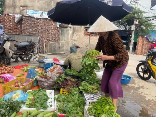 Rau xanh tại các chợ truyền thống phong phú, giá cả ổn định.