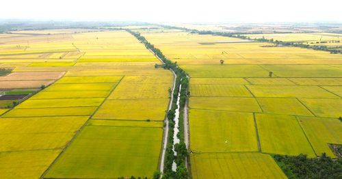  Vùng đất phèn ở Tân Phước đã thay da đổi thịt khi người dân biến đất hoang thành đất sản xuất. 