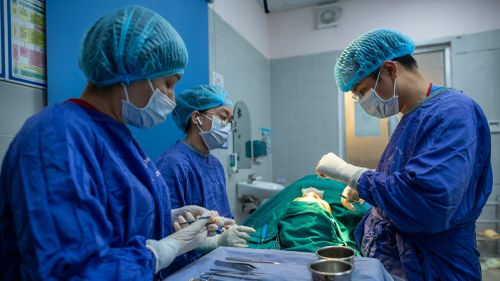 Trong lĩnh vực sức khỏe không chỉ có bác sĩ, mà còn nhiều chuyên ngành khác. Ảnh: Việt Linh.