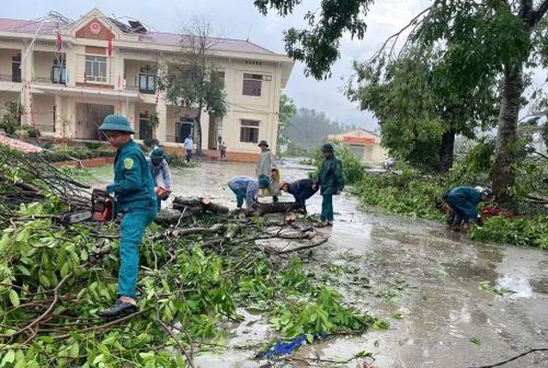 Mưa to kèm dông lốc khiến nhiều diện tích cây nông nghiệp, lâm nghiệp bị thiệt hại.