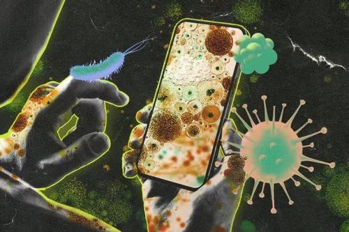 Các nghiên cứu từ Duke University cho thấy điện thoại có thể chứa vi khuẩn như Staphylococcus hay Streptococcus, vốn thường tồn tại trên da người nhưng vẫn có khả năng gây hại trong một số điều kiện nhất định.