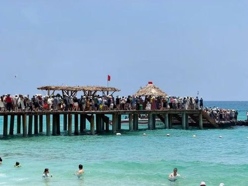 Du khách tham quan, trải nghiệm dịch vụ và nghỉ dưỡng tại Kỳ Co.