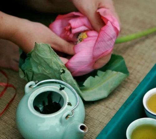 Trà sen là một thứ thời trân rất đặc trưng của người Hà Nội.