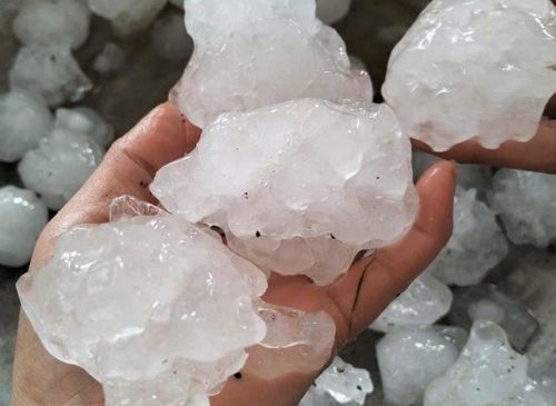 Mưa đá có mật độ dày, với kích thước nhiều viên lớn hơn ngón chân cái.