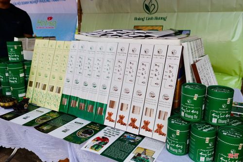 Các sản phẩm OCOP và đặc sản địa phương được tiêu thụ mạnh cho thấy sức hút ngày càng lớn của hàng hóa bản địa, đồng thời khẳng định niềm tin của người tiêu dùng vào chất lượng sản phẩm.
