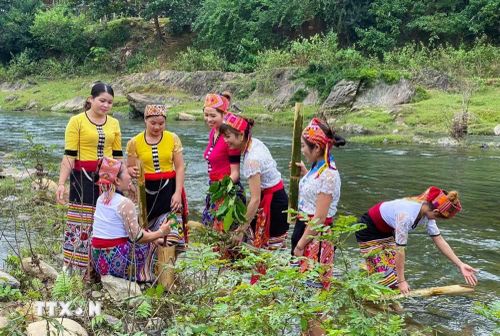 Chị em phụ nữ dân tộc Thái (xã Bình Chuẩn, tỉnh Nghệ An) đi rửa lá chè xanh để chuẩn bị giã nhỏ lấy nước cốt sau khi đi hái lá chè xanh ở những cây chè cổ trong đại ngàn Pù Huống. (Ảnh: TTXVN phát)