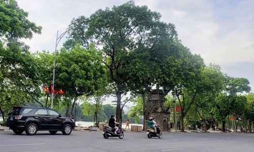 Ảnh minh họa.