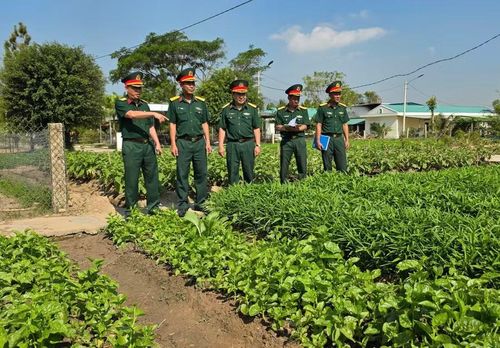 Lãnh đạo Bộ CHQS tỉnh kiểm tra công tác tăng gia sản xuất tại các đơn vị, góp phần bảo đảm nguồn thực phẩm tươi, sạch, nâng cao chất lượng bữa ăn cho bộ đội. Ảnh: H.P