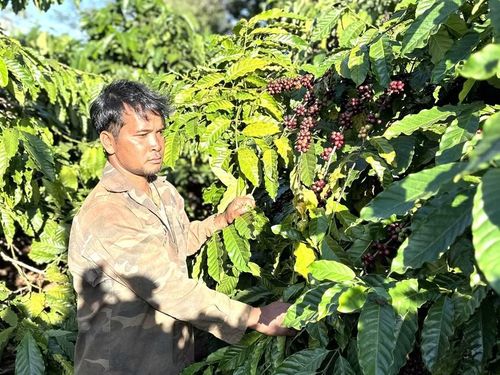  Anh Siu H’Dớt luôn ý thức rằng hòa bình hôm nay là kết quả của những hy sinh to lớn của các thế hệ đi trước. Ảnh: Hà Duy 