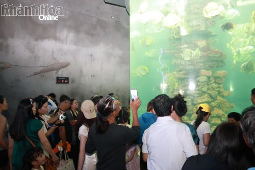Khách tham quan Bảo tàng Hải Dương học.