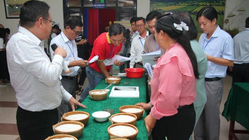 Cuộc thi "Gạo ngon Đồng bằng sông Cửu Long" lần thứ I năm 2026 thu hút đông đảo khách du lịch.