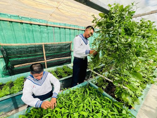 Các chiến sĩ tỉ mỉ chăm chút từng luống rau