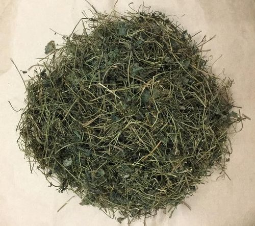 Giảo cổ lam hỗ trợ giảm cholesterol.