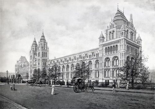 Bảo tàng Lịch sử tự nhiên London - nơi lưu giữ và nghiên cứu các mẫu vật Piltdown trong nhiều thập niên.