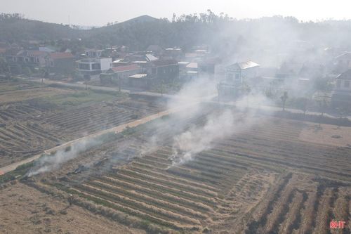 Do không có nhu cầu thu gom, rơm rạ được gom lại, đốt luôn tại ruộng để “tiết kiệm thời gian, công sức”.