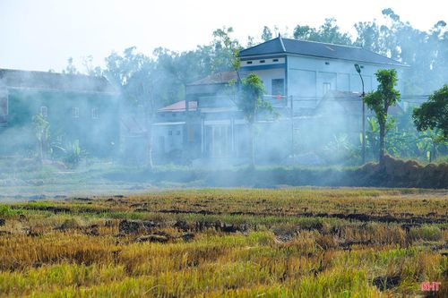 Trên thực tế, vẫn có khá nhiều người dân nắm bắt được tác hại của việc đốt rơm rạ. Tuy nhiên, việc thiếu hụt trầm trọng nhân lực lao động nông thôn hiện nay cộng với chi phí thuê mướn thu gom rơm rạ cao, trong khi thị trường tiêu thụ các sản phẩm phụ từ nông nghiệp chưa thực sự phát triển, là những rào cản lớn khiến người nông dân đành “nhắm mắt” chọn cách châm lửa đốt bỏ để “tiết kiệm thời gian và chi phí”.