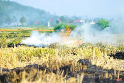Người dân lý giải việc đốt rơm giúp dọn sạch gốc rạ nhanh, diệt mầm sâu bệnh, thuận tiện cho vụ mùa sau. Tuy nhiên, đây là một quan niệm sai lầm. Việc đốt rơm rạ ở nhiệt độ cao không những làm bốc hơi một lượng lớn dưỡng chất hữu cơ quý giá mà còn tiêu diệt hệ vi sinh có lợi, làm biến đổi cấu trúc đất, khiến đất đai ngày càng chai cứng, bạc màu.