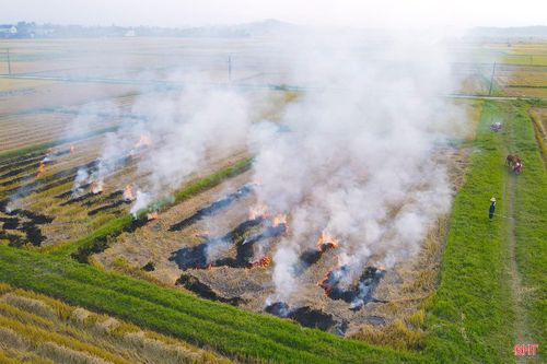Không chỉ ở xã Xuân Lộc, tại cánh đồng của xã Thạch Hà, rơm rạ cũng được người dân đốt “vô tội vạ” sau khi lúa đã được thu hoạch.