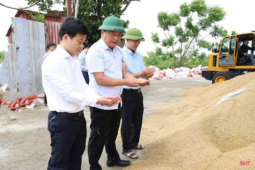 Phó Chủ tịch UBND tỉnh Hồ Huy Thành yêu cầu các sở, ngành liên quan và địa phương tiếp tục chủ động rà soát, kết nối với các hợp tác xã, cơ sở sấy lúa để hỗ trợ bảo quản, chế biến cho bà con nông dân sau thu hoạch.