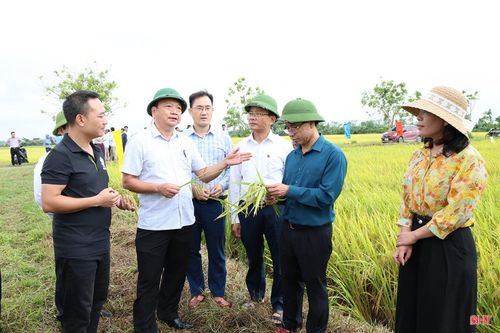 Đoàn đã kiểm tra mô hình canh tác lúa cải tiến SRI gắn với giảm phát thải tại các xã Can Lộc và Gia Hanh.